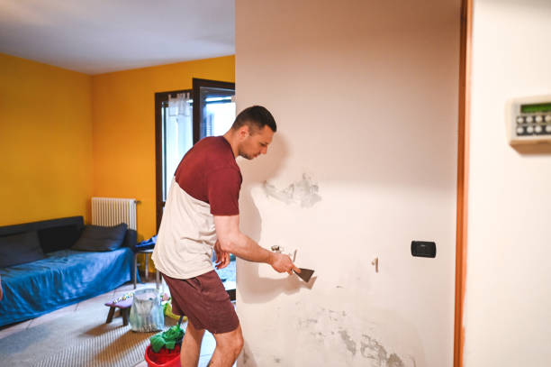 Best Water Damage Restoration  in Donaldsonville, LA
