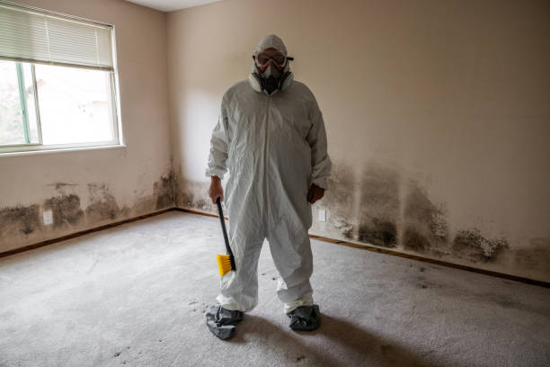 Best Crawl Space Mold Removal  in Donaldsonville, LA